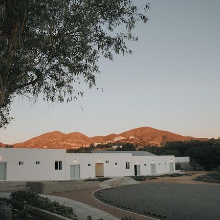 Casa Zamora Villa de Juarez Extérieur photo